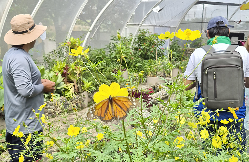  CDMB fortalece control ambiental y resalta aporte del mariposario de Neomundo a la conservación de la biodiversidad